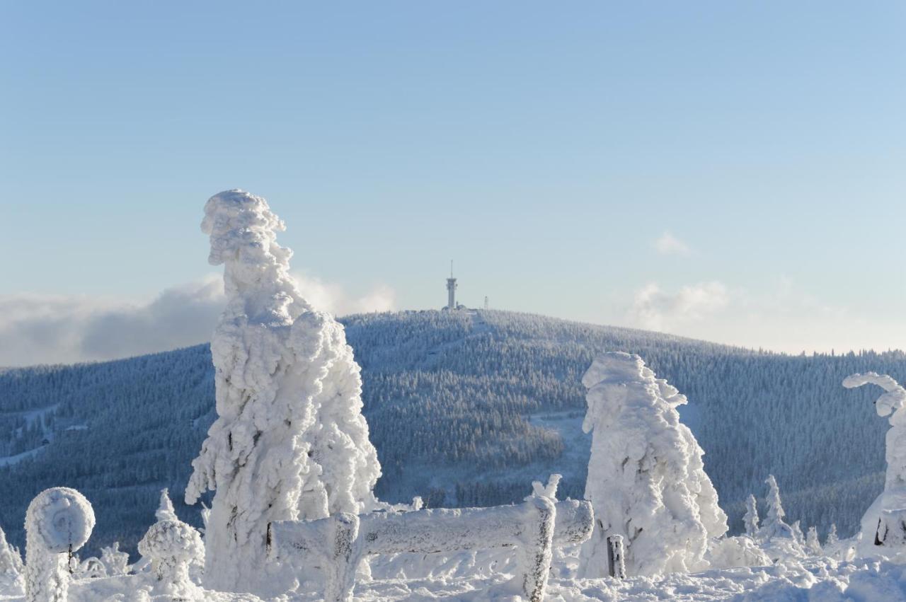 Apartmán Landidyll Breitenbrunn  Exteriér fotografie